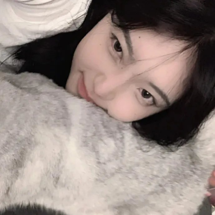 冰河世纪：猛犸象的圣诞